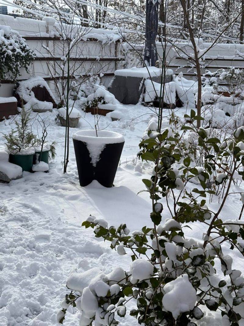 When Michigan Residents Are Most Likely To Notice Them