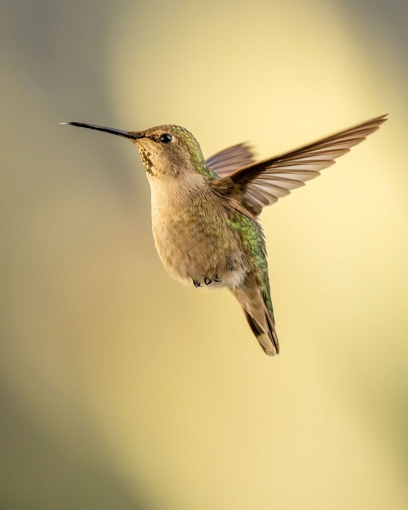 How Oregon's Mild Coastal And Valley Climate Helps Them Survive