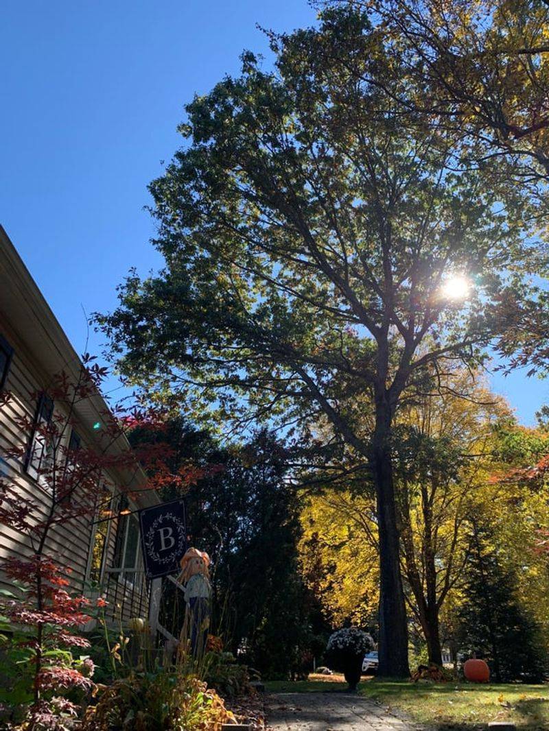 How Local City Rules Can Affect These Situations