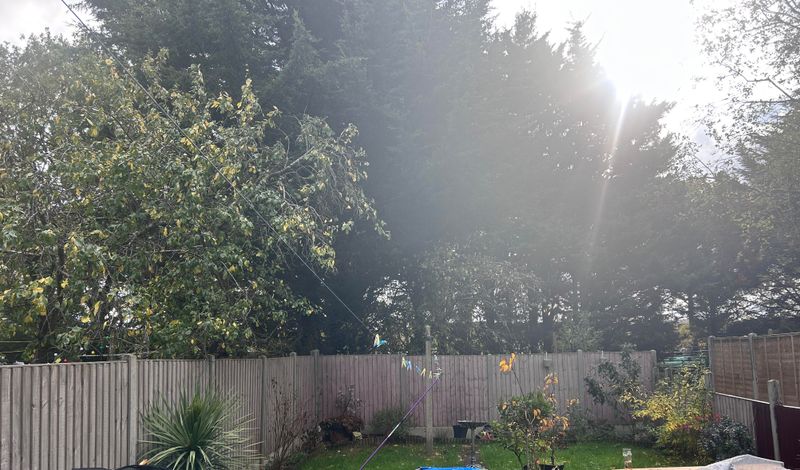 How Sunlight Issues Are Handled In California