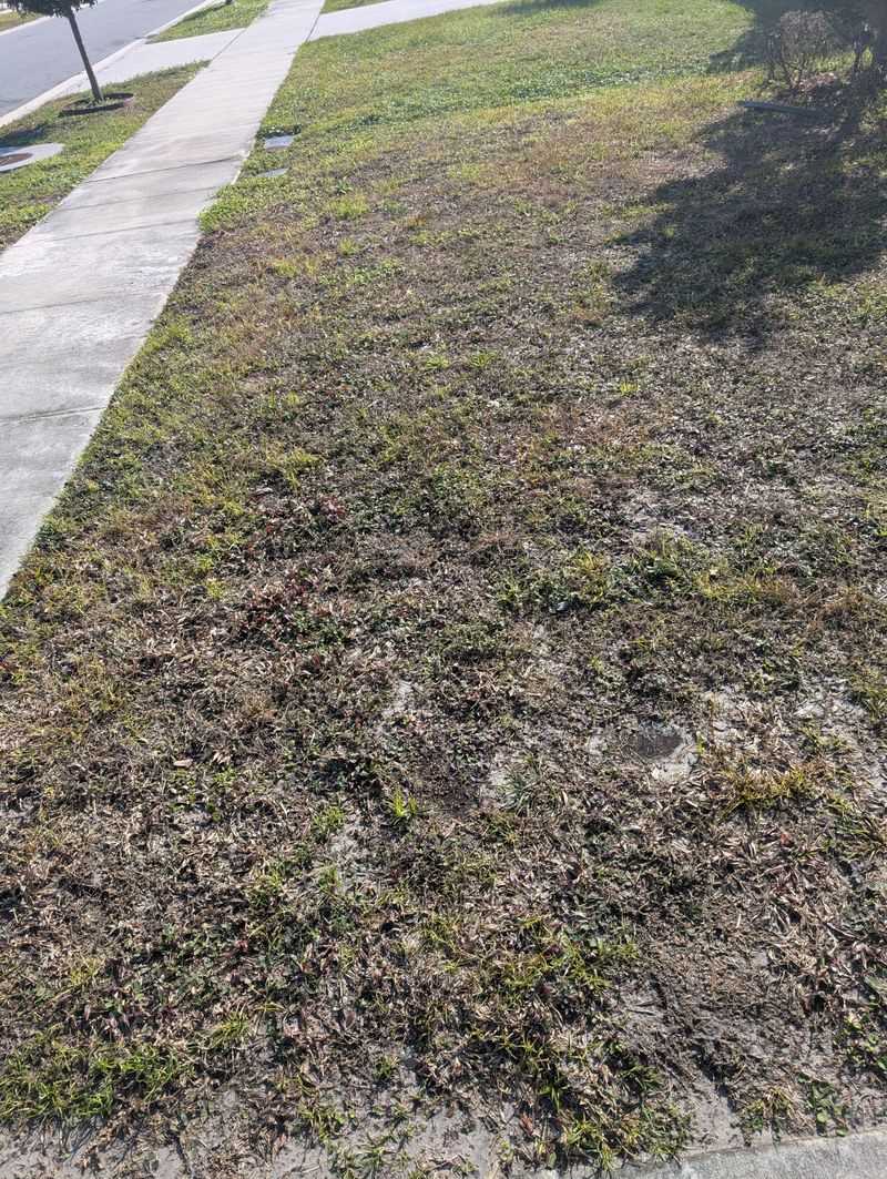 When Winter Watering Helps