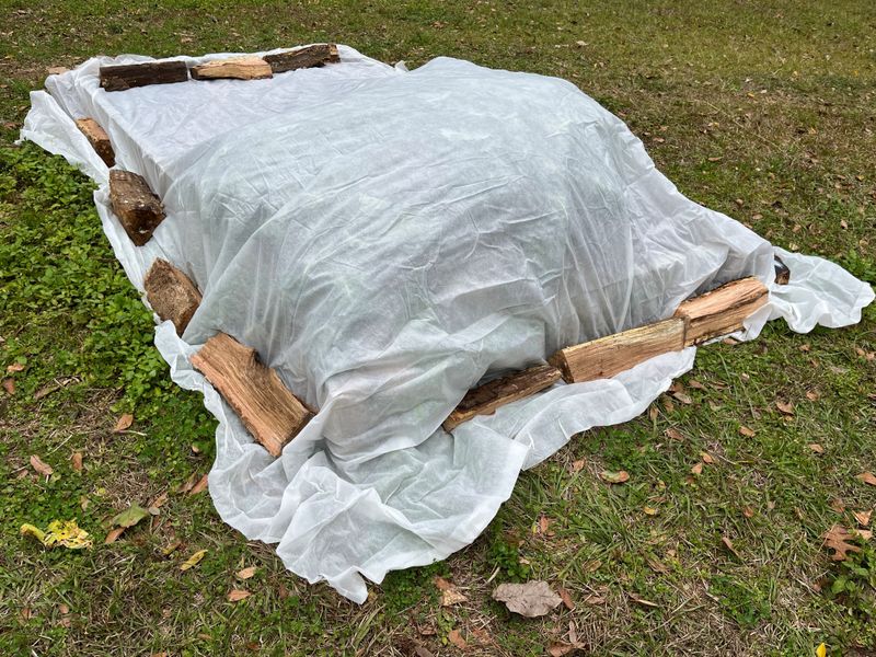 Unpredictable Spring Frosts Threaten Early Plantings