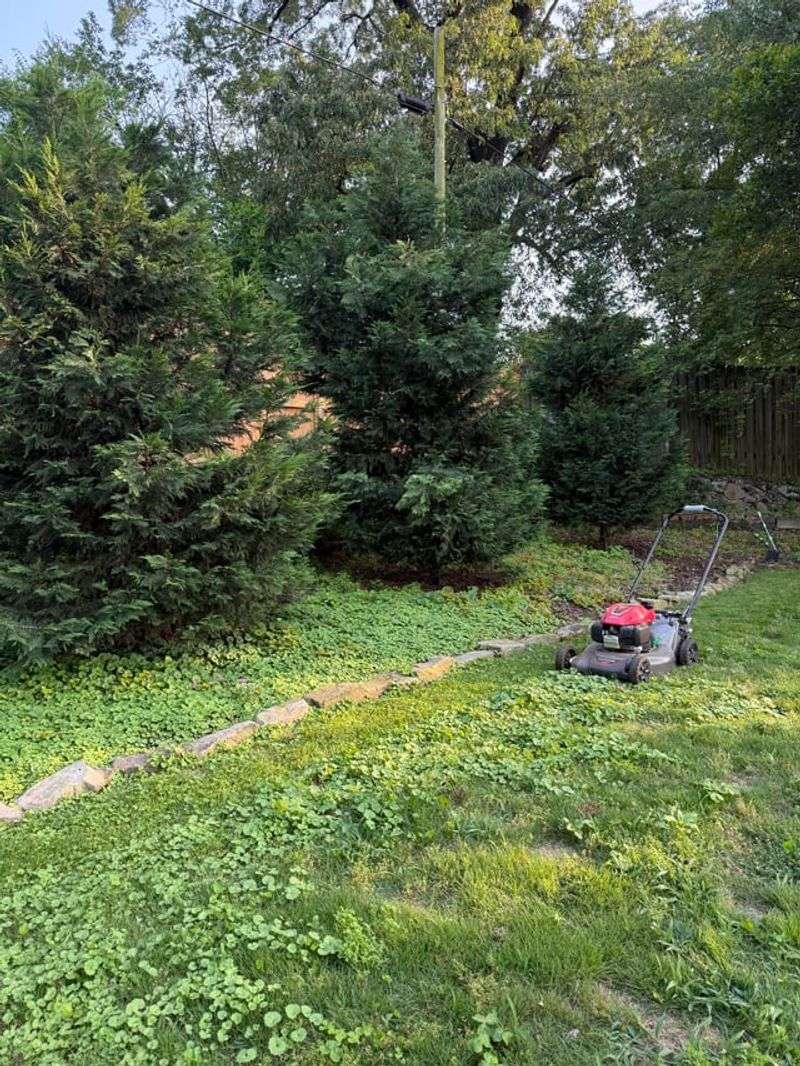 How Hedge Disputes Are Typically Handled Under Pennsylvania Law