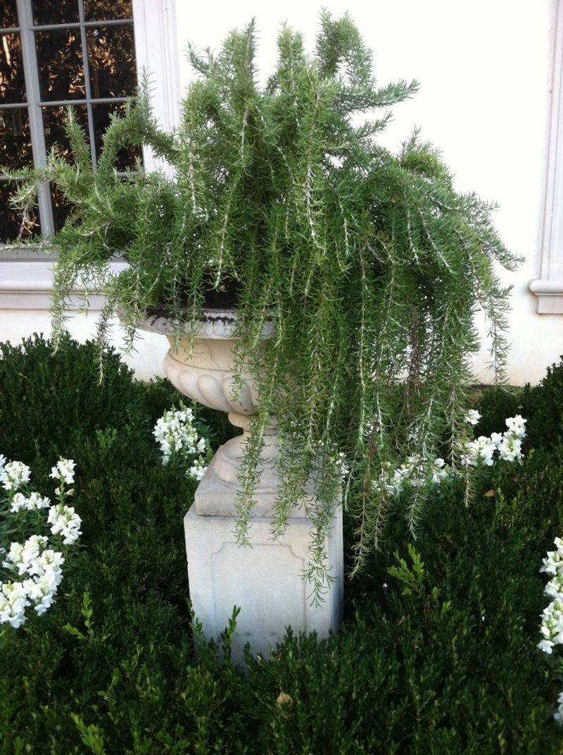 Built To Handle Georgia Heat And Sticky Summer Humidity