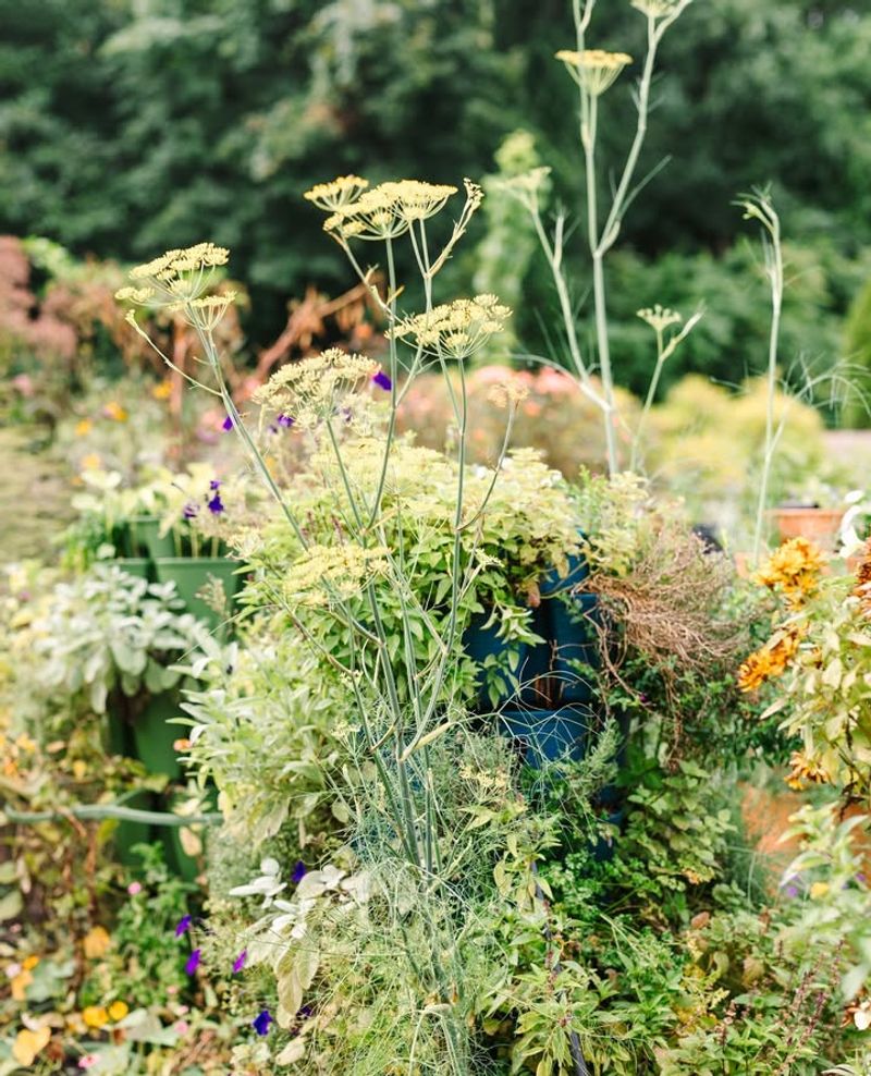 Lower Long-Term Costs Save You Money