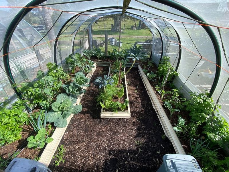 Improved Soil Temperature And Moisture Retention