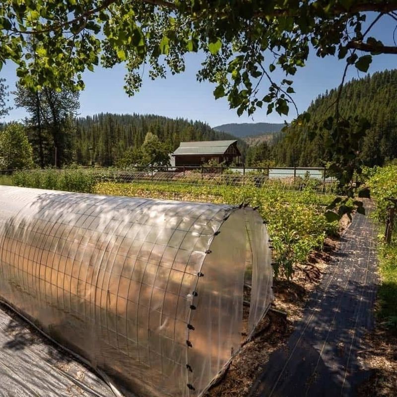 Cost-Effective Alternative To Greenhouses