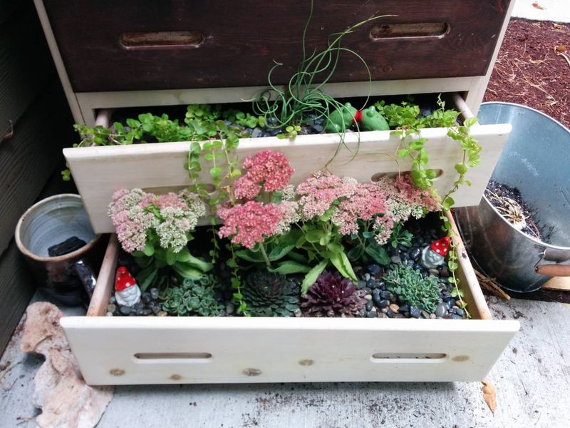 Dresser Drawers Transformed into Raised Beds
