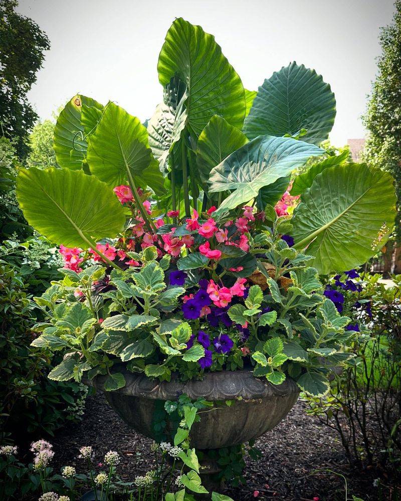 Year-Round Container Gardening