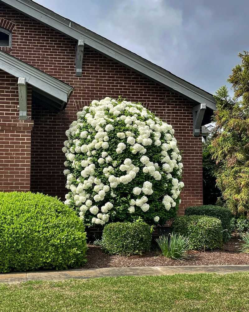 Stunning Spring Blooms Are Worth The Wait