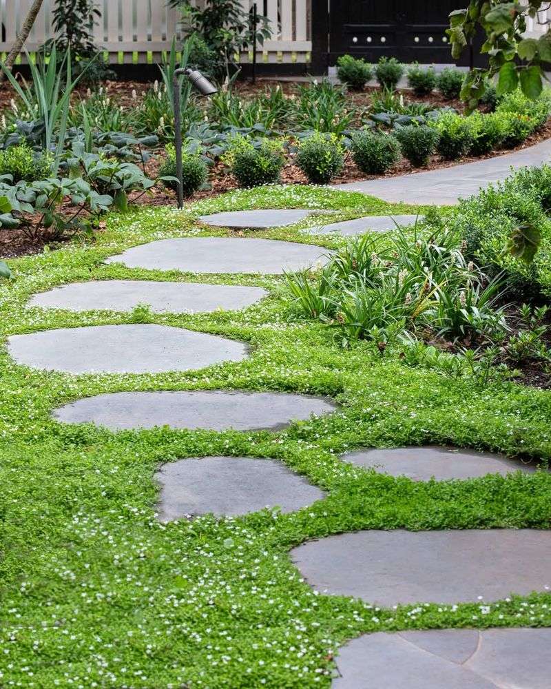 Stepping Stones With Ground Cover Plants
