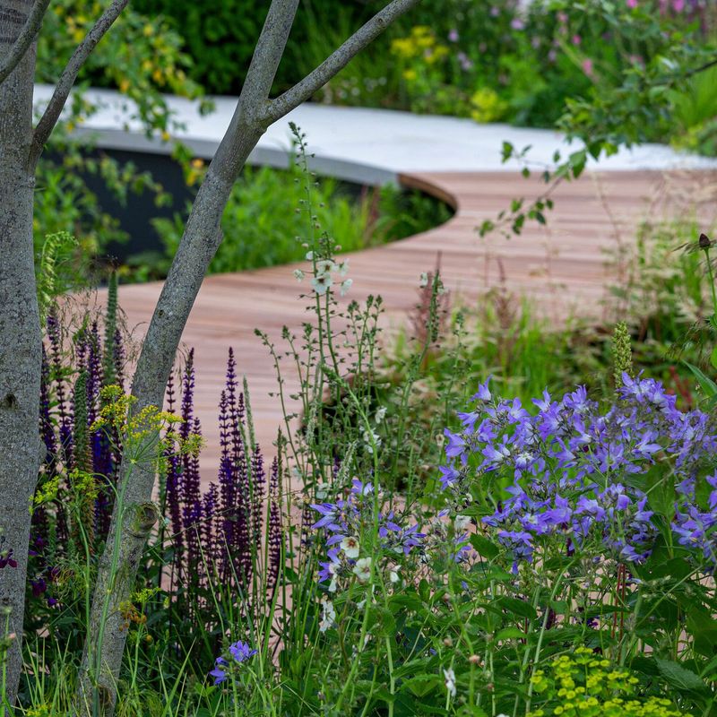 Curved Garden Paths That Create Visual Interest