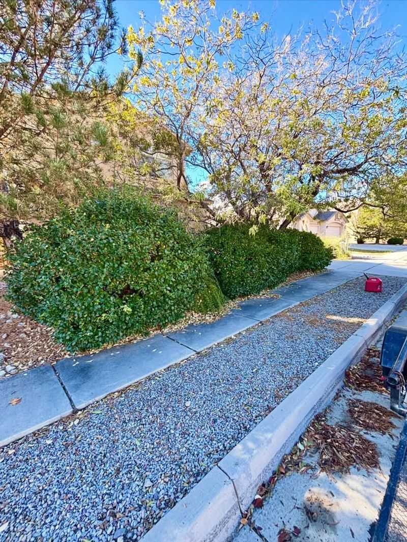 Seasonal Cleanup Habits That Keep Yards Clean