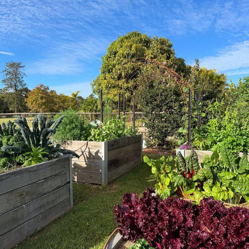 Edible Landscape Beds With Fruits And Vegetables