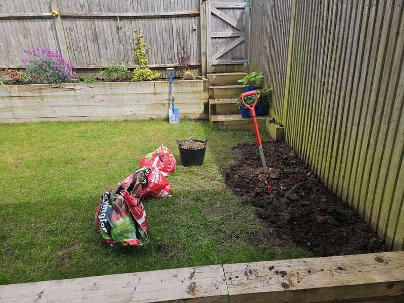 Dense Shade Keeps Ground Moist All Day