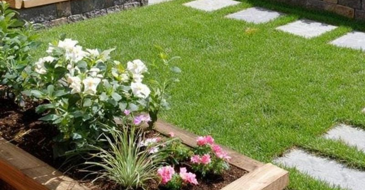 Yard Features That May No Longer Be Allowed In Arkansas