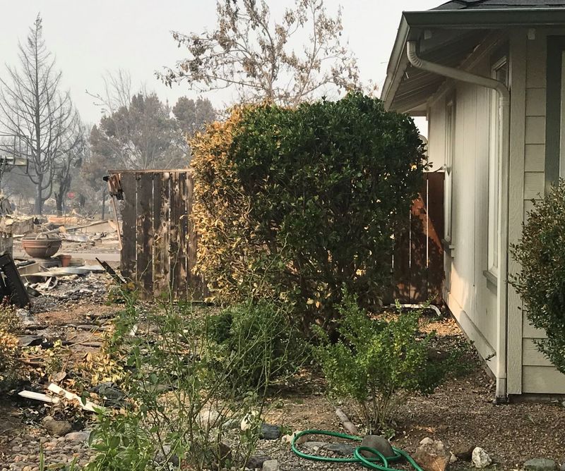 Brush And Vegetation Fire Hazards