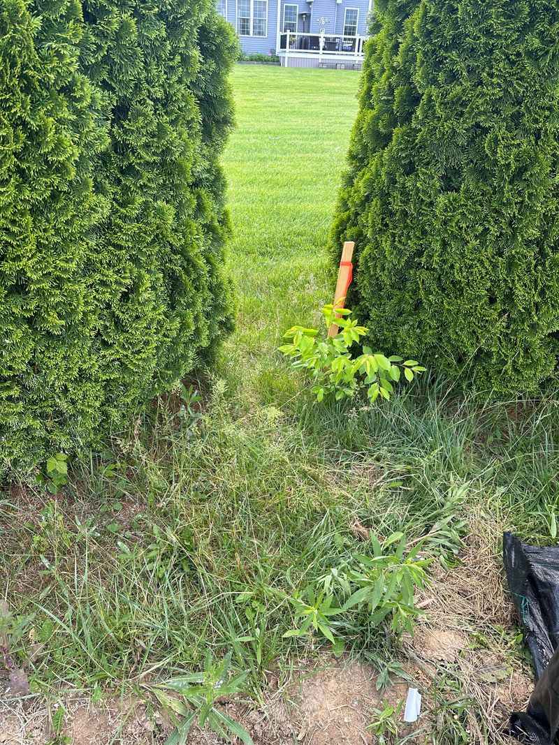 You Cannot Go Past The Property Line — Even By Inches