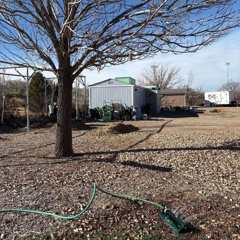 Timing Your Winter Watering Sessions Correctly