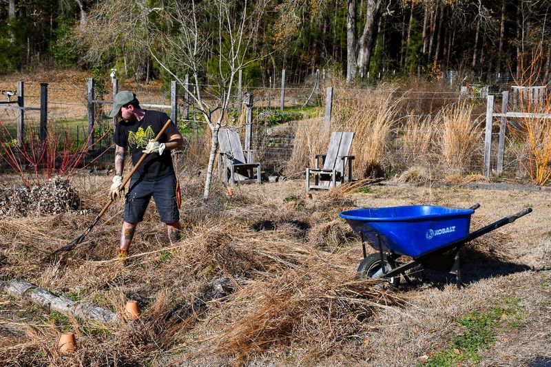 Uncut Plants Reduce Spring Mud And Erosion
