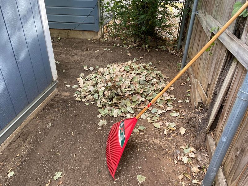 You Face Extra Cleanup Work and Time