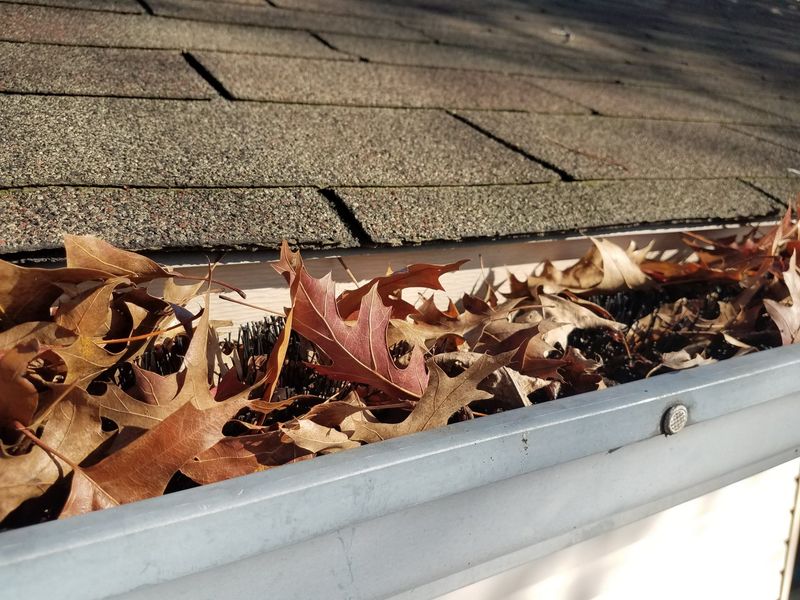 When Leaves Become A Nuisance Or Hazard