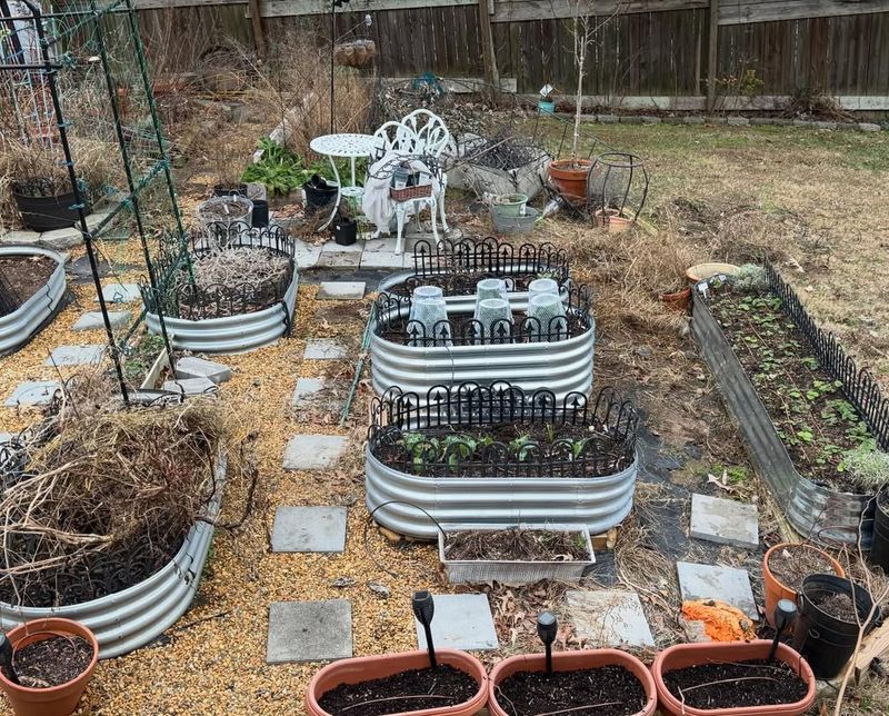 Clean Up Beds Without Disturbing New Growth