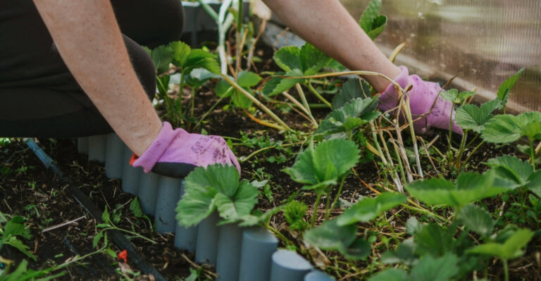 cleaning garden beds (featured image)