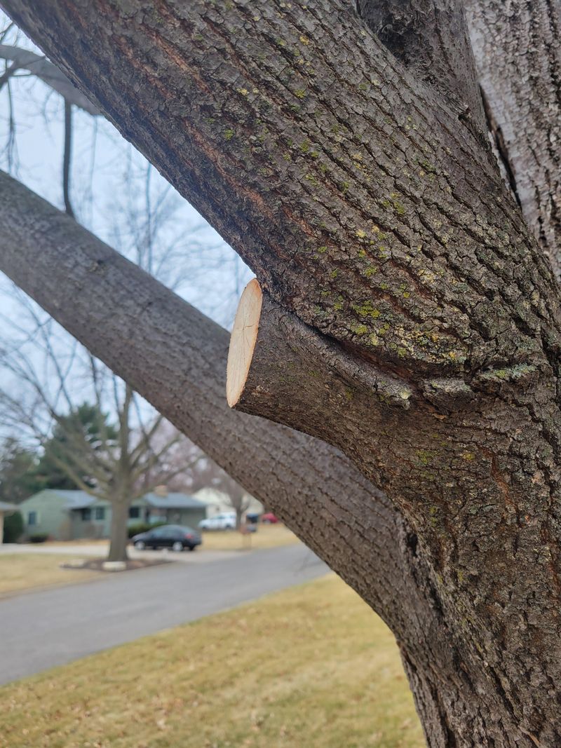 Responsibility For Damage You Cause