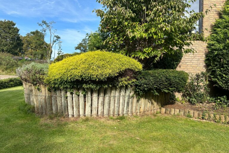shrubs edged by wooden posts