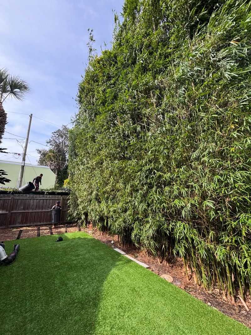 What New York Law Says About Overhanging Shrubs