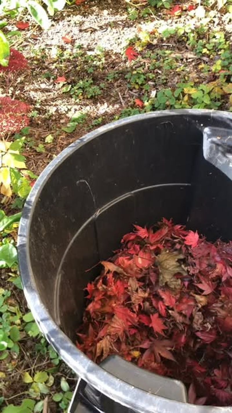 Composting Opportunities Present Unexpected Benefits