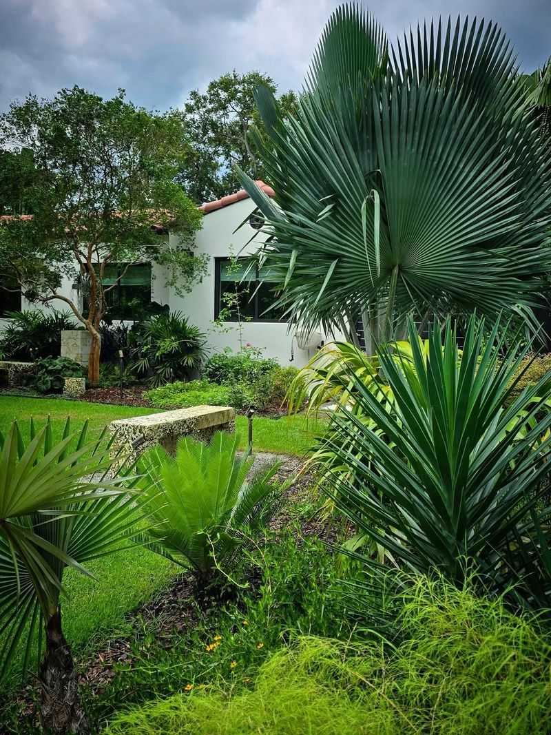 How Landscape Designers Combine Sculptural Plants In Florida Gardens