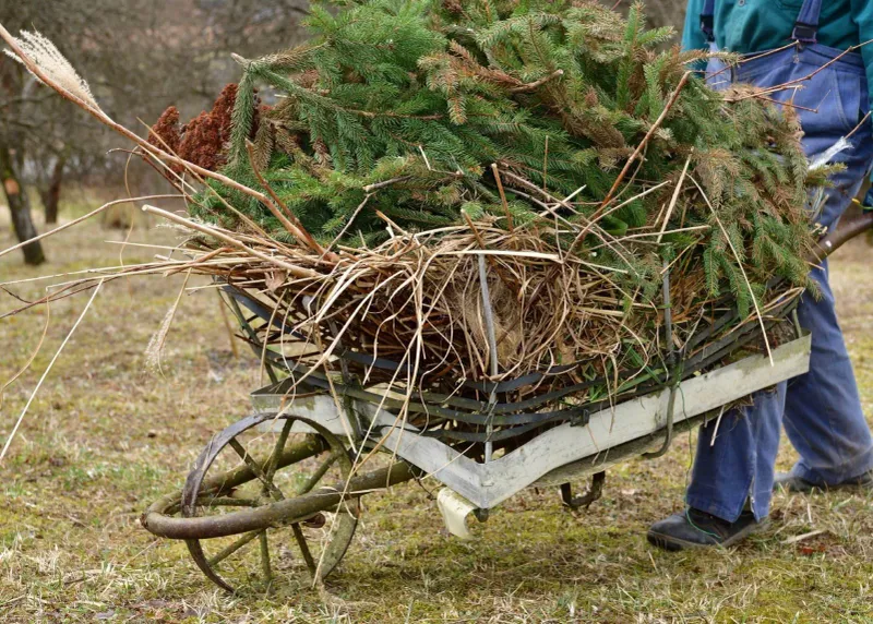 Clean Up Fallen Leaves And Debris