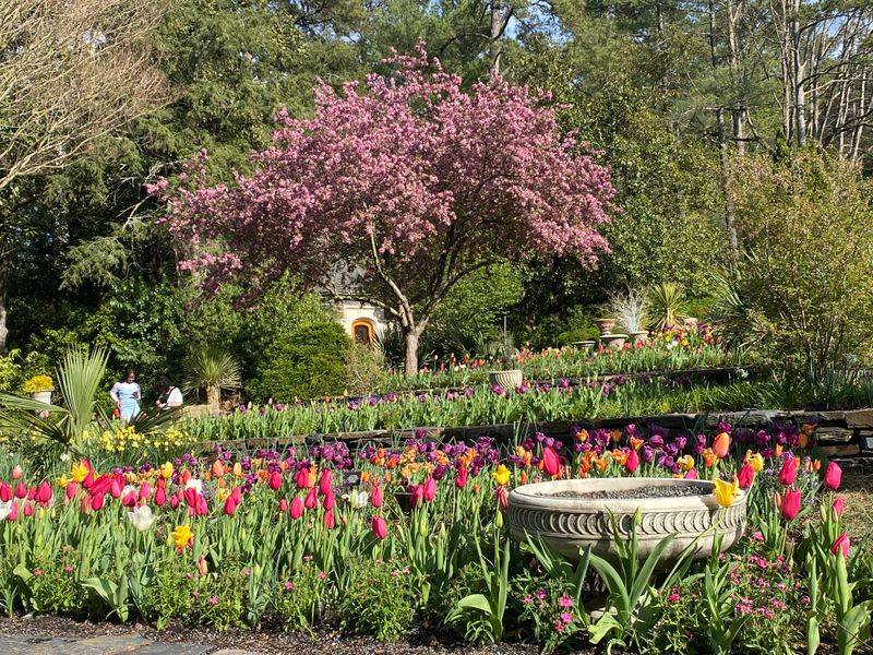 Sarah P. Duke Gardens