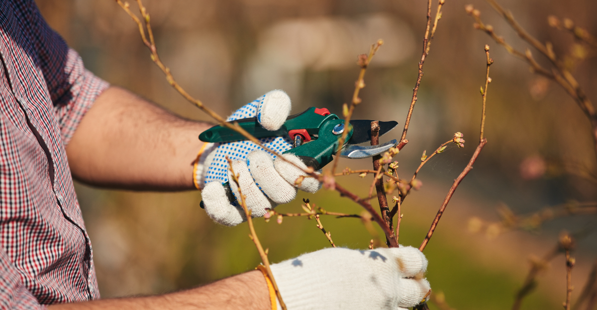 11 Texas Garden Tasks You Don’t Want To Skip This March
