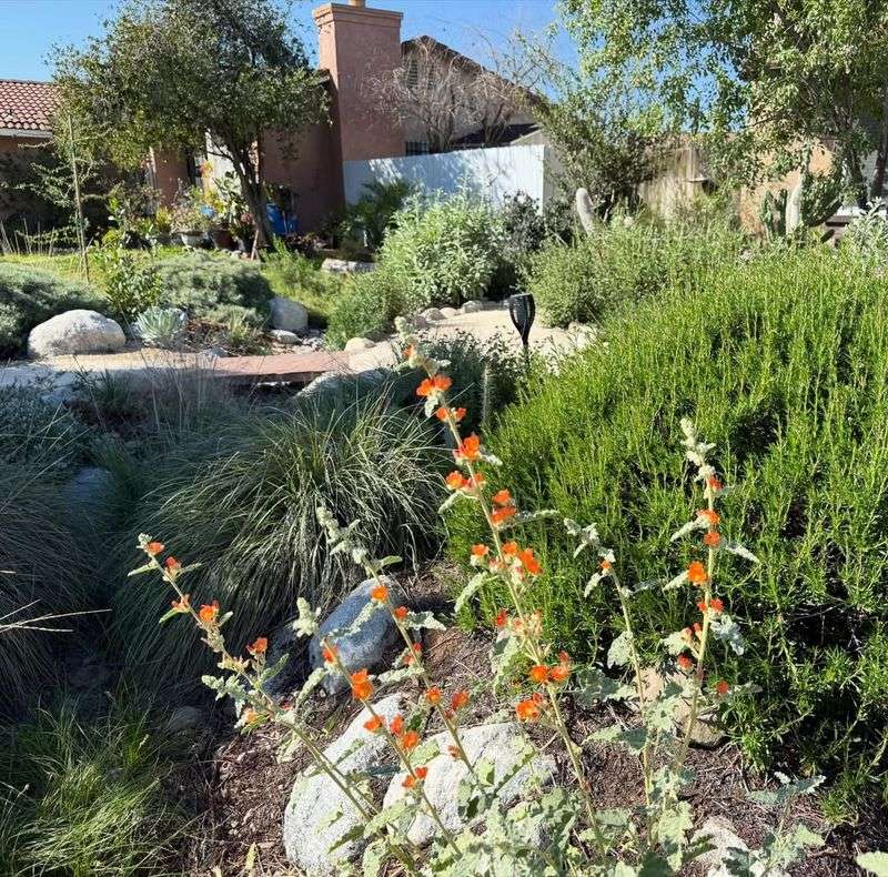 Native Plant Landscaping