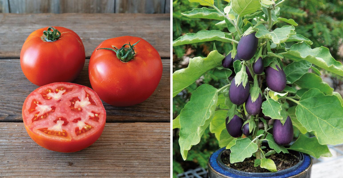 new fruits and vegetables