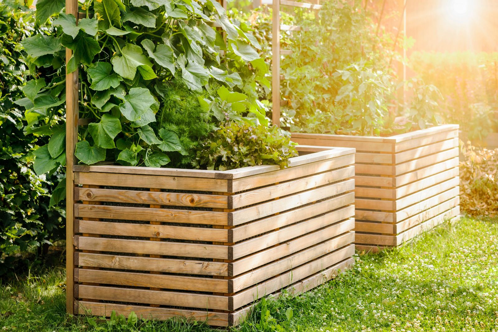 safe garden container