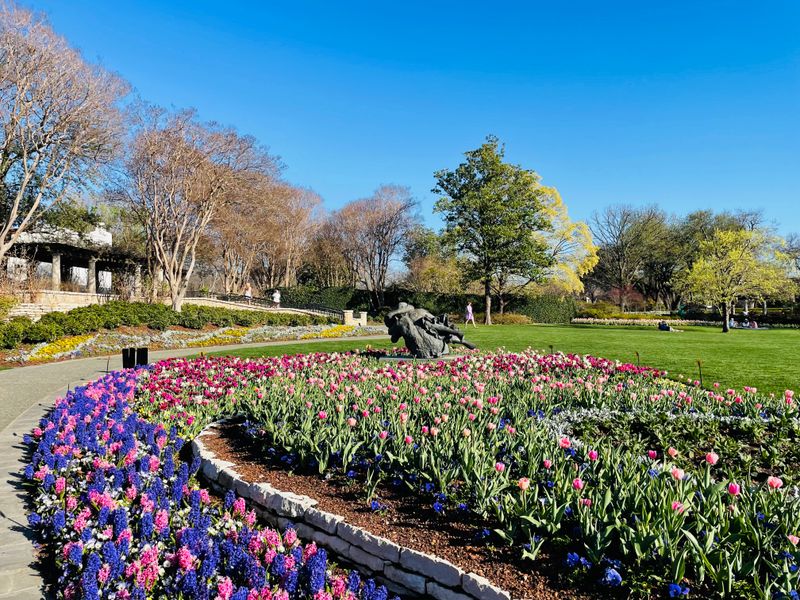 Dallas Arboretum And Botanical Garden - Dallas