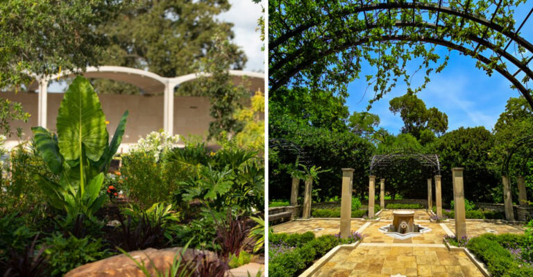 6 Popular Botanical Gardens In Texas You Need To Visit