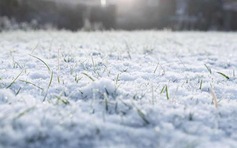 Stay Off Frozen Grass