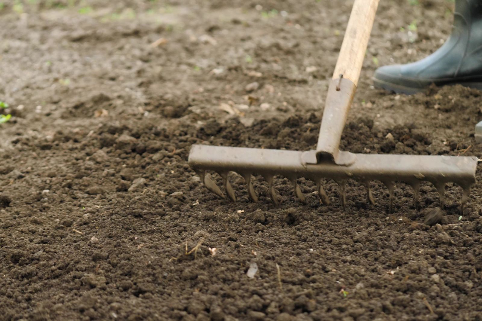 preparing garden soil