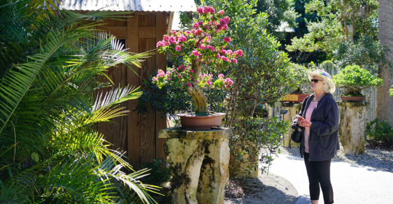 Heathcote Botanical Gardens Florida