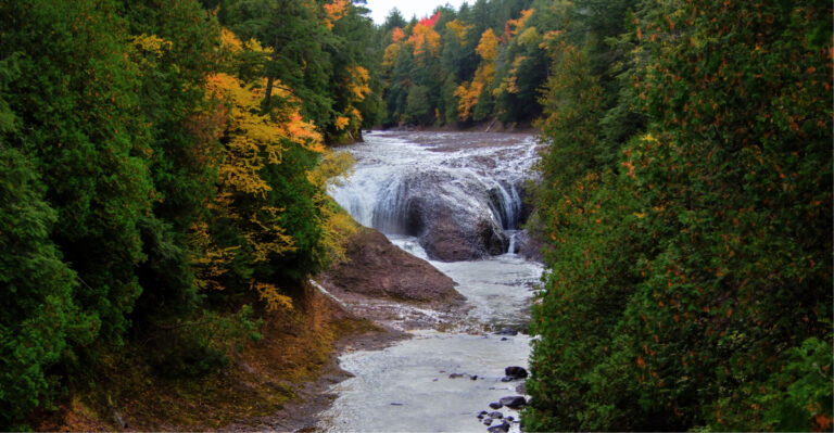 7 Historic Forests In Michigan Worth Planning A Road Trip Around