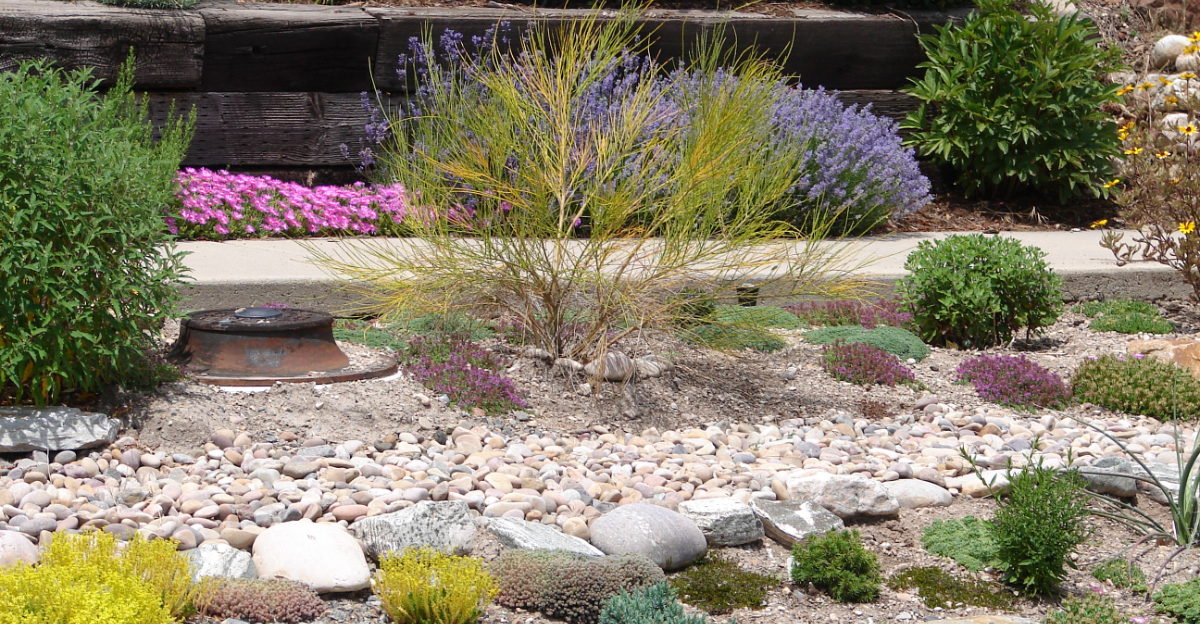 garden (featured image)