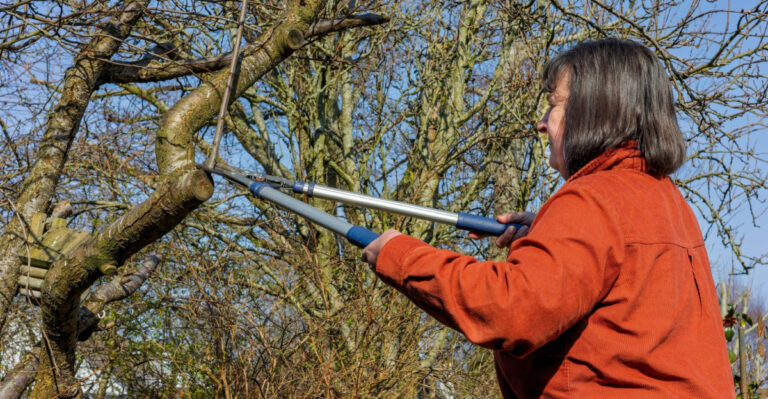 female gardener prunes a tree