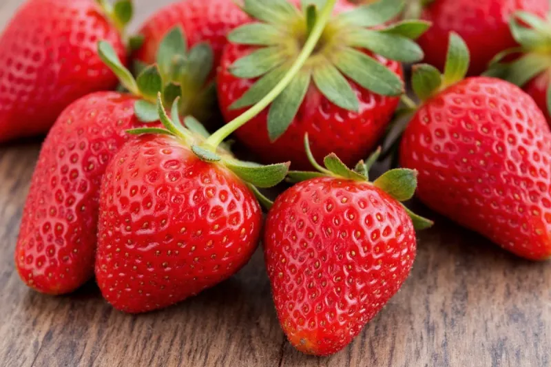 Choose Short-Day Varieties Perfect For Texas Climate