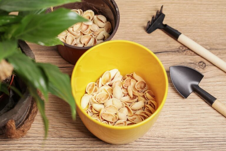 pistachio shells for garden