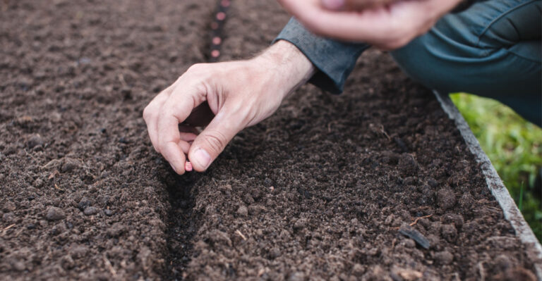7 Seeds To Start During A Waxing Moon In Oregon For Stronger Garden Growth